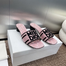 Christian Dior Slippers